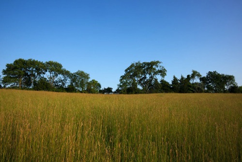 Horshoe Bend Preserve, Hunterdon Land Trust, Hunterdon County, NJ 06 11 (7881SA) copy.jpg